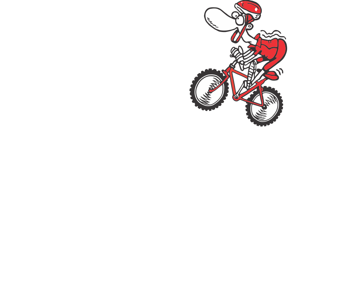 Magges Bikescheune | Bikes & Service
